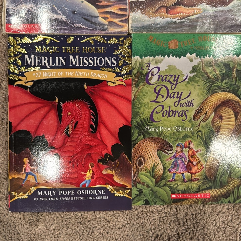 Magic Tree House Books Lot plus Extra - Picture 4 of 6